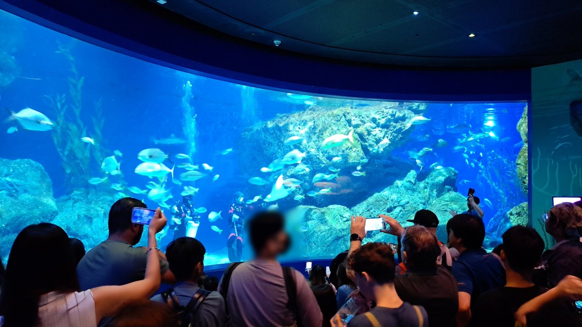 水族館の中の水槽と魚たち