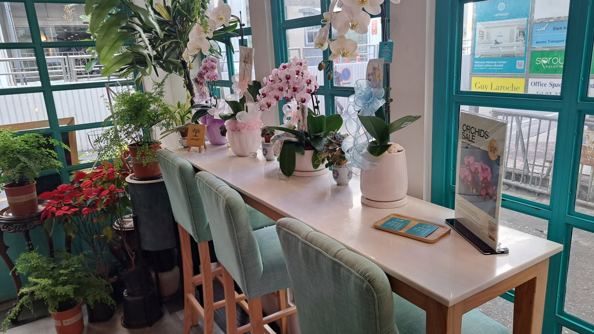 カフェ1階のカウンター