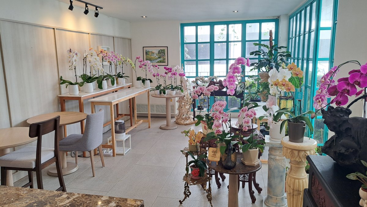 3階はお花たちの展覧室