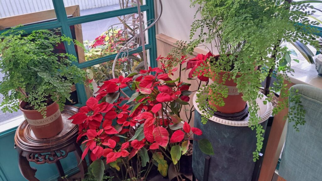 1階の角に置いてあるお花