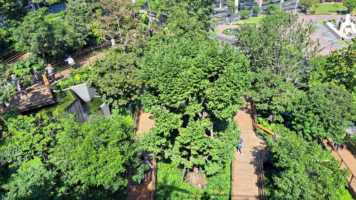 セントラルパーク屋上庭園