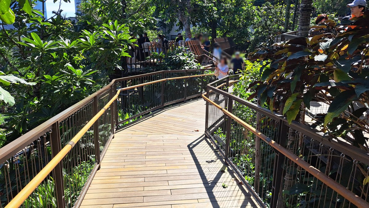 緑一杯の散策路