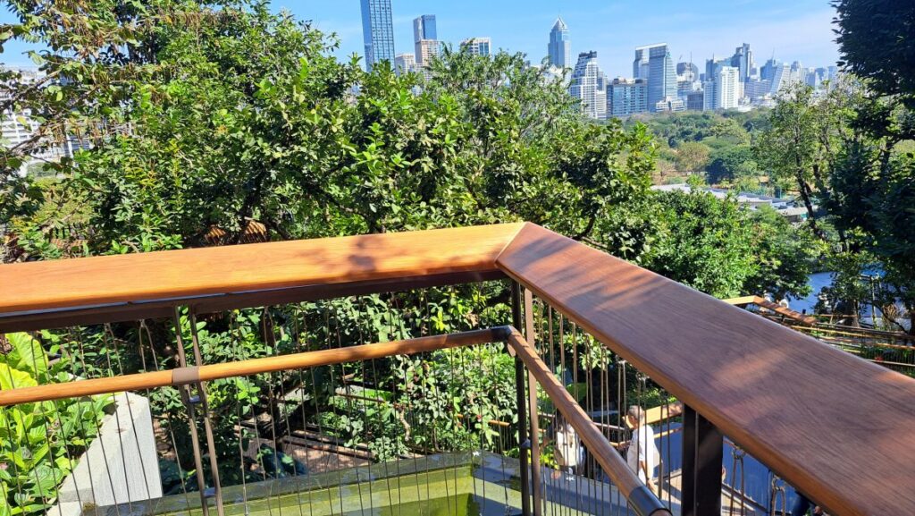 眺望エリアから見る屋上庭園の木々、合間に見えるルンビニー公園。