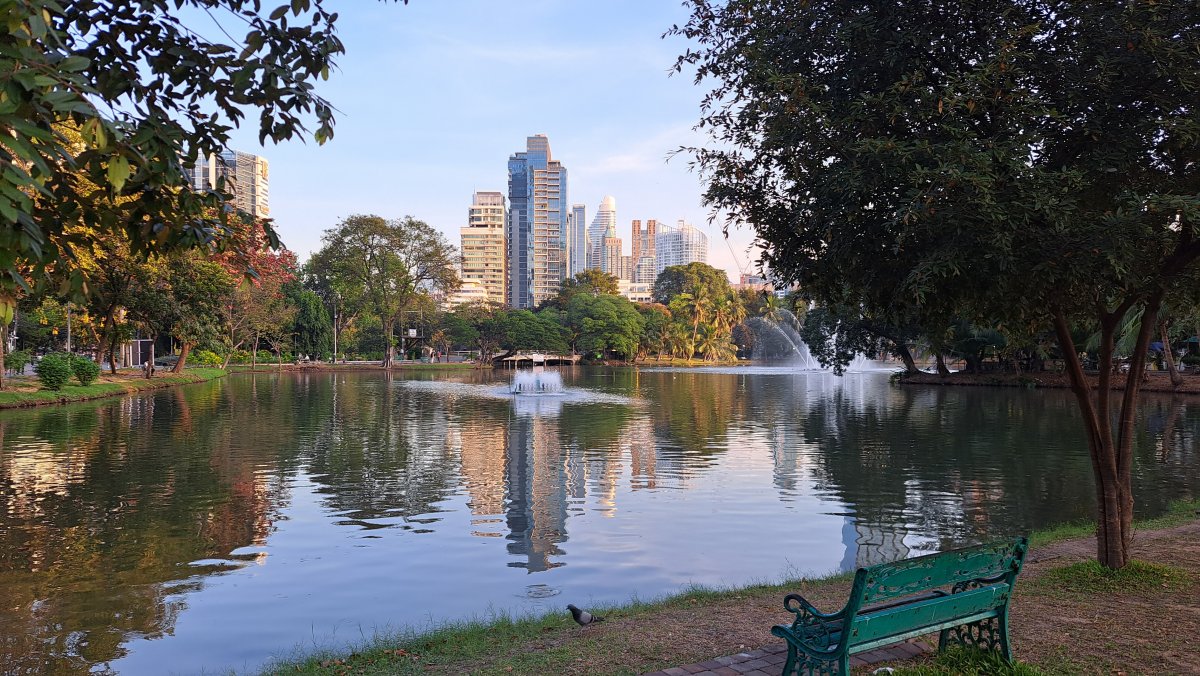 美しい水面と高層ビルのコラボレーション