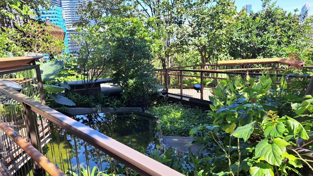 屋上天空庭園の様子