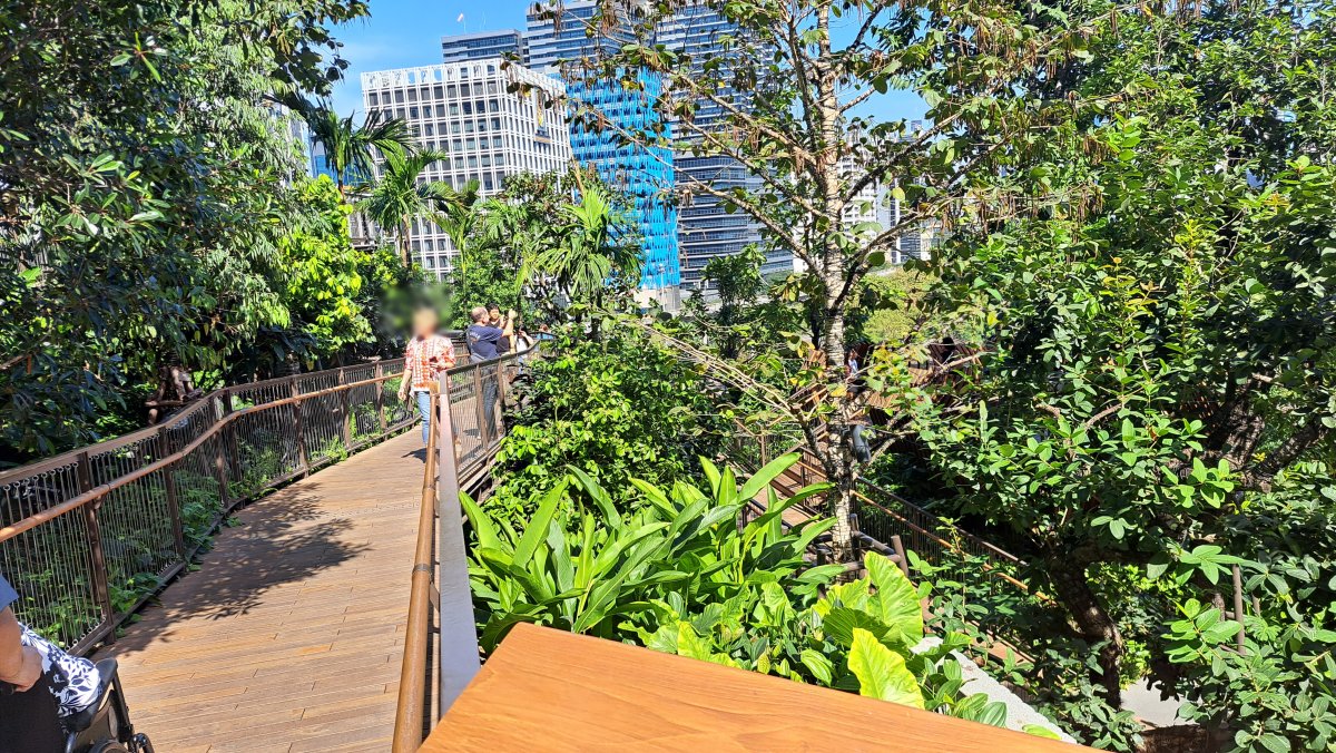 屋上天空庭園の様子