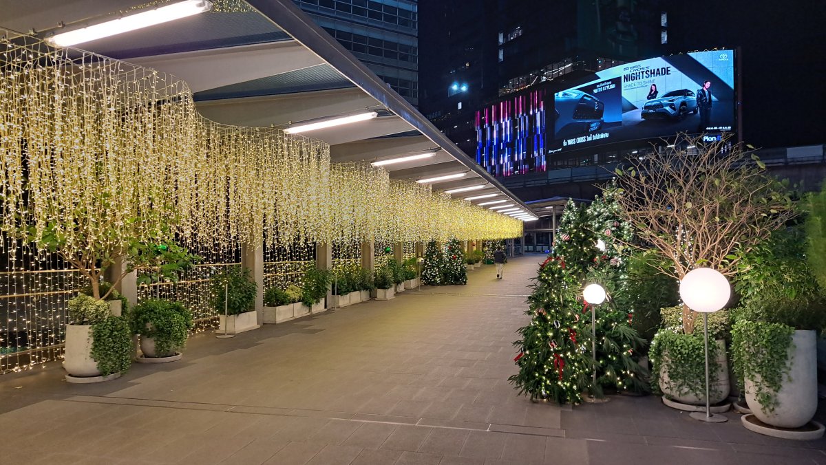 シーロム駅の上の高架通路からセントラルパークへ続く通路