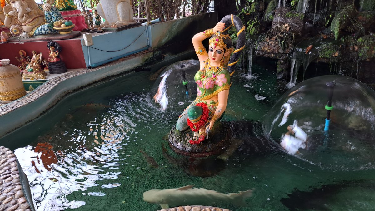 ワット・マハーブットの寺院内