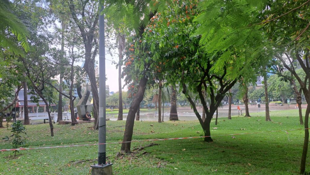 ベンチャシリ公園の木々の緑と芝生