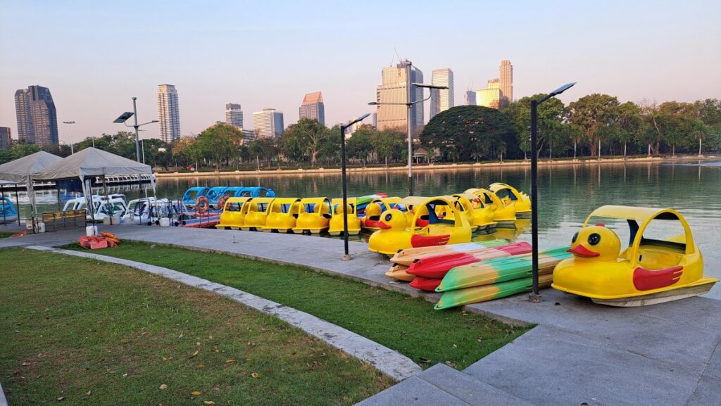 公園の池、あるあるのアヒルたち