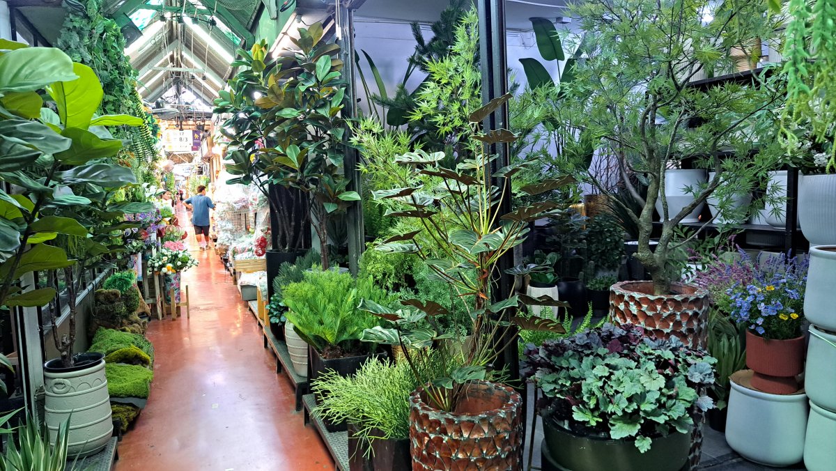 植物販売エリア